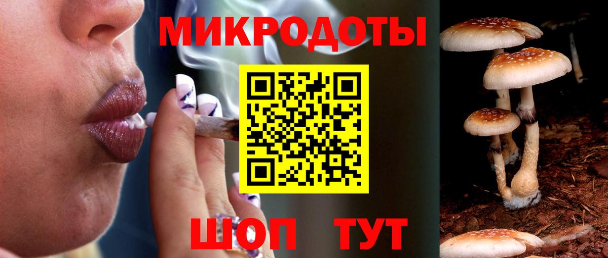 Томск  Псилоцибиновые грибы Psilocybine cubensis  Галлюциногенные грибы GOLDEN TEACHER  Вход с VPN 