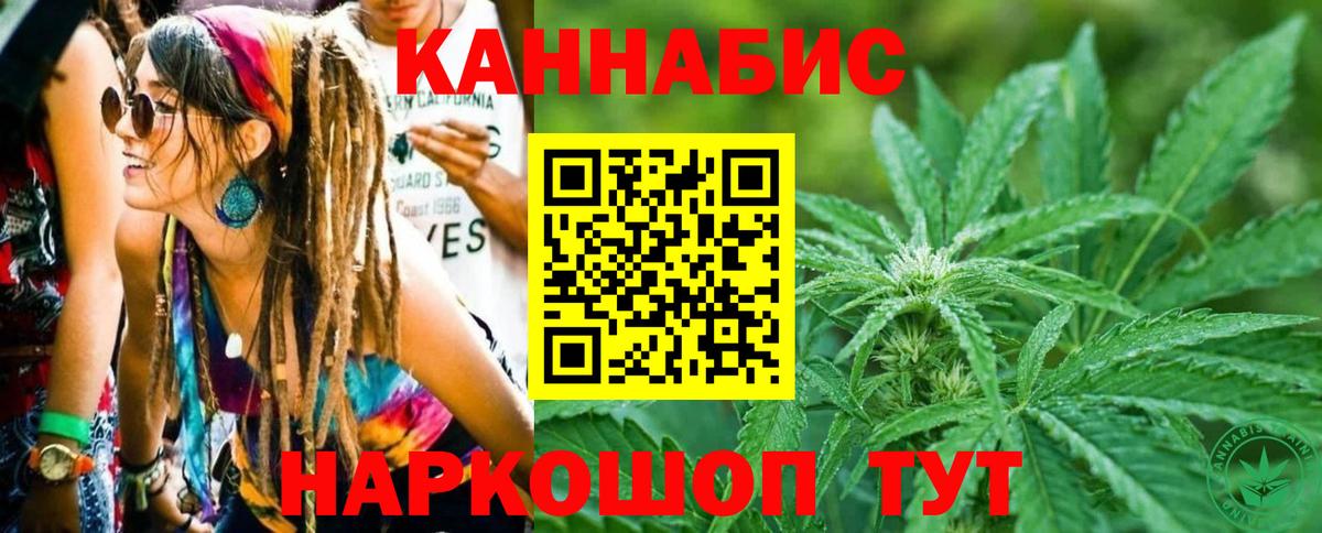 Бошки Шишки гибрид Томск