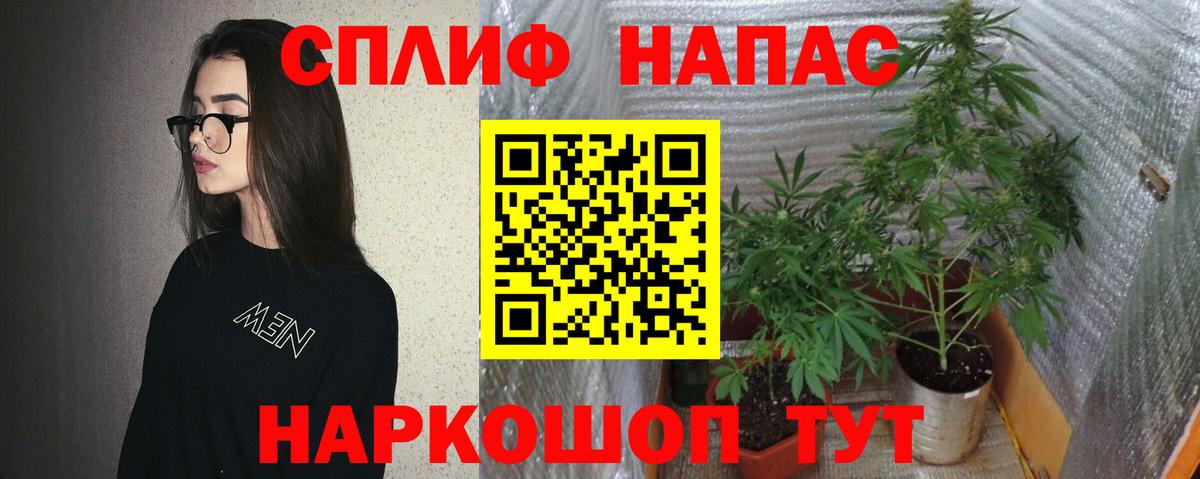  COCAIN Томск